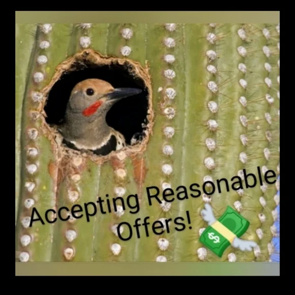 CHICO'S ARTISANAL TAN FAUX SUEDE WOMEN'S JACKET WITH MULTICOLOR PAISLEY DESIGNS - Picture 12 of 12